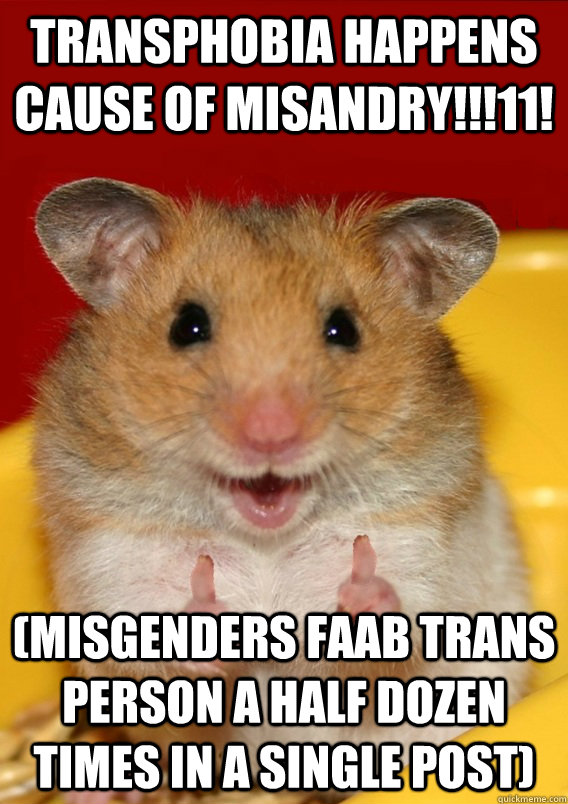 Transphobia happens cause of misandry!!!11!  (misgenders FAAB trans person a half dozen times in a single post)   Rationalization Hamster