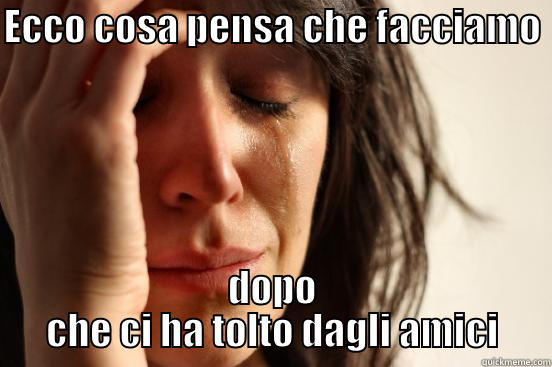 ECCO COSA PENSA CHE FACCIAMO  DOPO CHE CI HA TOLTO DAGLI AMICI First World Problems