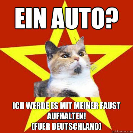 Ein Auto? Ich werde es mit meiner Faust aufhalten!
(fuer Deutschland)  Lenin Cat