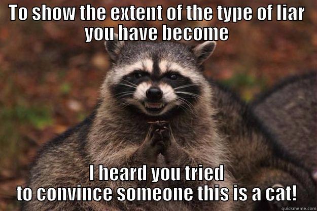 TO SHOW THE EXTENT OF THE TYPE OF LIAR YOU HAVE BECOME I HEARD YOU TRIED TO CONVINCE SOMEONE THIS IS A CAT! Evil Plotting Raccoon