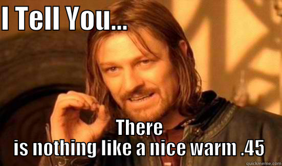 A Nice Warm Gun - I TELL YOU...                               THERE IS NOTHING LIKE A NICE WARM .45 Boromir