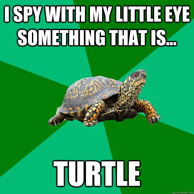 I spy with my little eye something that is... turtle  Torrenting Turtle