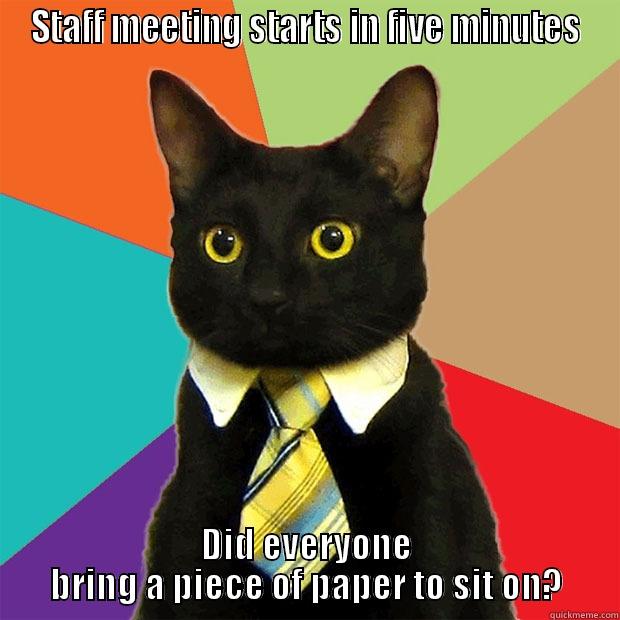 Staff Meeting - STAFF MEETING STARTS IN FIVE MINUTES DID EVERYONE BRING A PIECE OF PAPER TO SIT ON? Business Cat