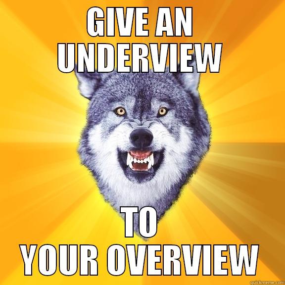 GIVE AN UNDERVIEW TO YOUR OVERVIEW Courage Wolf