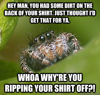 Hey man, you had some dirt on the back of your shirt. Just thought I'd get that for ya. Whoa why're you ripping your shirt off?!  Misunderstood Spider