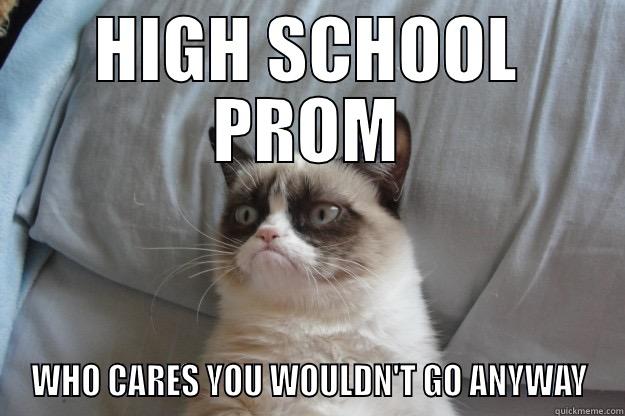 HIGH SCHOOL PROM WHO CARES YOU WOULDN'T GO ANYWAY Grumpy Cat