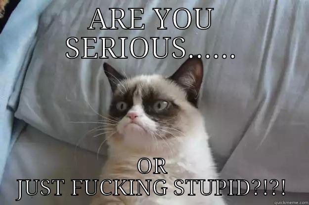 ARE YOU SERIOUS...... OR JUST FUCKING STUPID?!?! Grumpy Cat