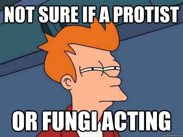 Not sure if a protist Or fungi acting  Futurama Fry