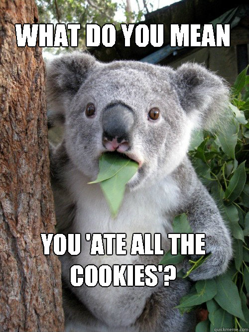 what do you mean you 'ate all the cookies'?  - what do you mean you 'ate all the cookies'?   Shocked Koala