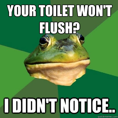 Your toilet won't flush? I didn't notice..  - Your toilet won't flush? I didn't notice..   Foul Bachelor Frog