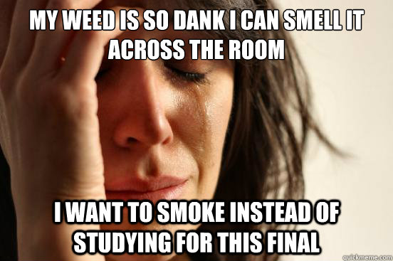 My weed is so dank i can smell it across the room I want to smoke instead of studying for this final - My weed is so dank i can smell it across the room I want to smoke instead of studying for this final  First World Problems