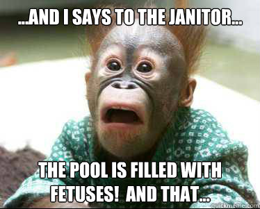 ...And I says to the janitor... The pool is filled with fetuses!  And that...  Disgusted Baby Orangutan