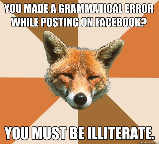 you made a grammatical error while posting on facebook? 
 You must be illiterate.  Condescending Fox