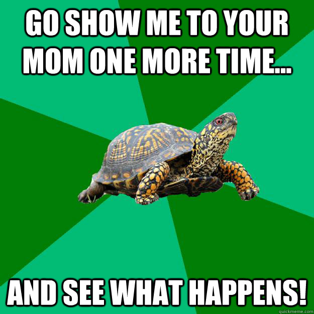 Go show me to your Mom ONE more time... And see what happens!  Torrenting Turtle