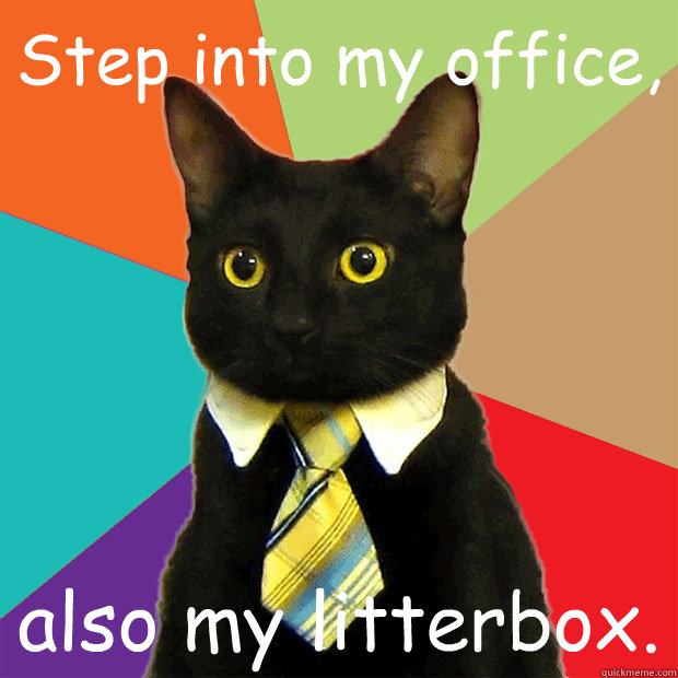 Step into my office, also my litterbox.  Business Cat