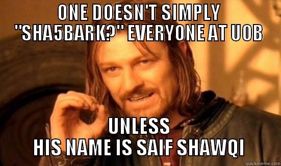 SAIF SHAWQI MEMES - ONE DOESN'T SIMPLY 