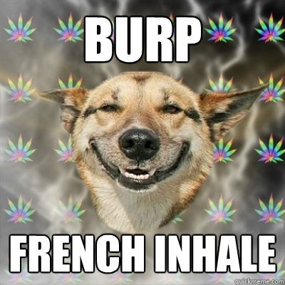 BURP FRENCH INHALE  Stoner Dog