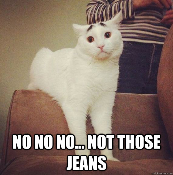  no no no... not those jeans  Worried Cat