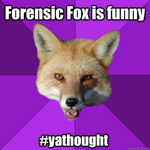 Forensic Fox is funny #yathought - Forensic Fox is funny #yathought  Forensics Fox