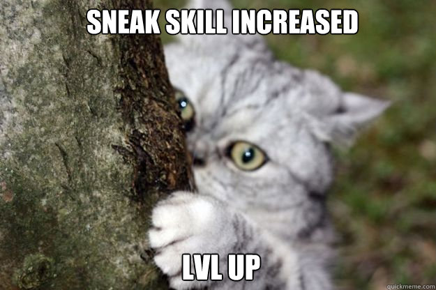 SNEAK SKILL increased LVL UP - SNEAK SKILL increased LVL UP  Misc