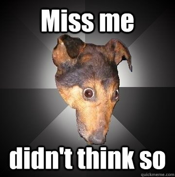 Miss me didn't think so - Miss me didn't think so  Depression Dog