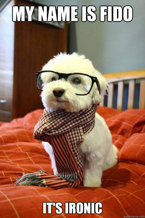 My Name is Fido It's Ironic - My Name is Fido It's Ironic  Hipster Dog