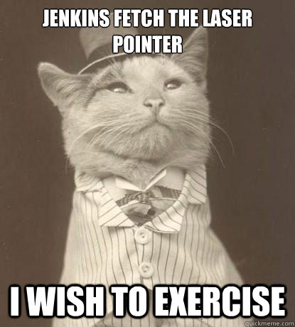 Jenkins fetch the laser pointer I wish to exercise  Aristocat