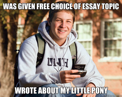 was given free choice of essay topic wrote about my little pony  College Freshman