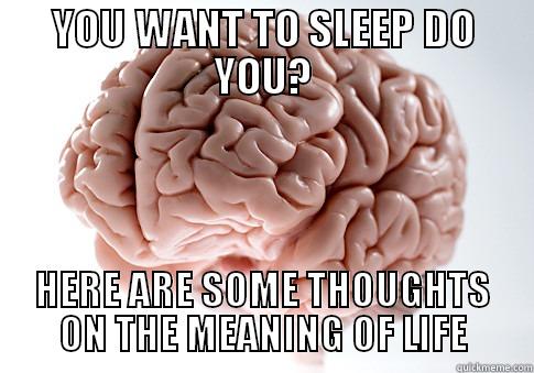 YOU WANT TO SLEEP DO YOU? HERE ARE SOME THOUGHTS ON THE MEANING OF LIFE Scumbag Brain