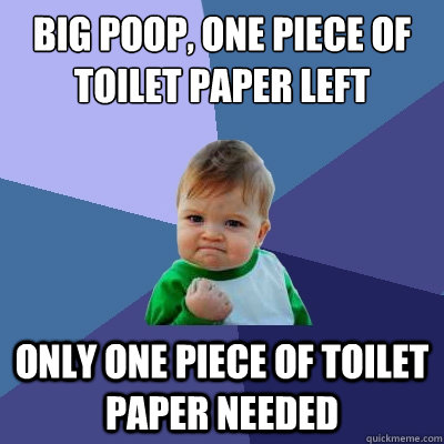 big poop, one piece of toilet paper left only one piece of toilet paper needed  Success Kid