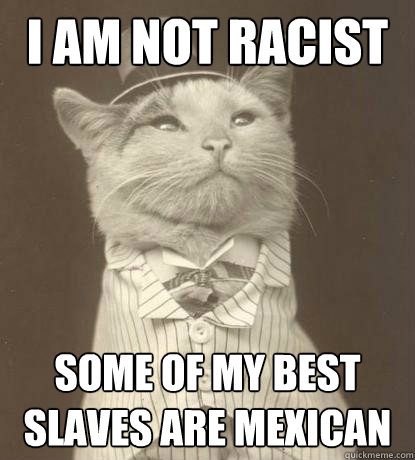 I am not racist Some of my best slaves are mexican  Aristocat