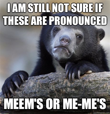 I am still not sure if these are pronounced Meem's or me-me's  Confession Bear