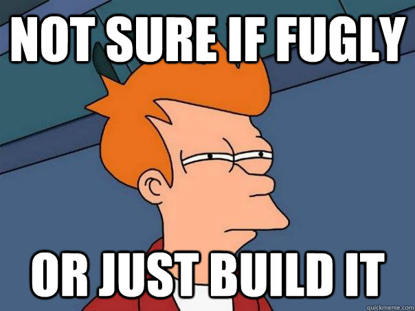 Not sure if Fugly Or just build it  Futurama Fry