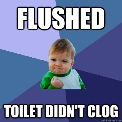 Flushed Toilet didn't clog  Success Kid