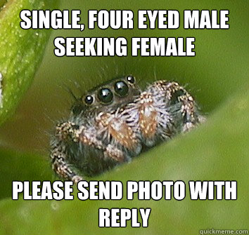 Single, four eyed male seeking female please send photo with reply   Misunderstood Spider