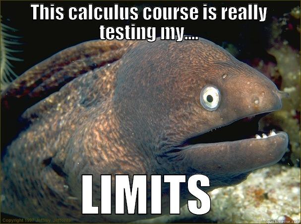 THIS CALCULUS COURSE IS REALLY TESTING MY.... LIMITS Bad Joke Eel