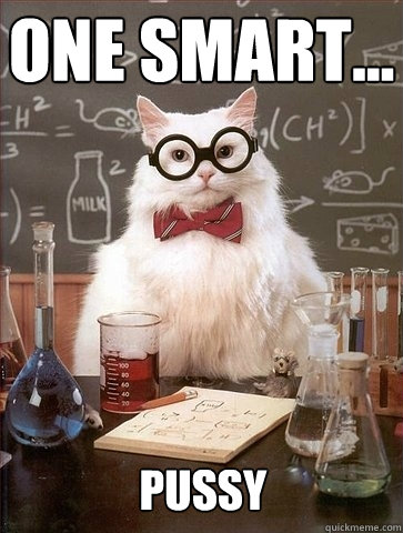 ONE SMART... PUSSY - ONE SMART... PUSSY  Chemistry Cat