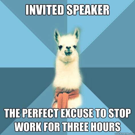 invited speaker the perfect excuse to stop work for three hours  Linguist Llama