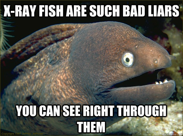 X-ray fish are such bad liars You can see right through them  Bad Joke Eel