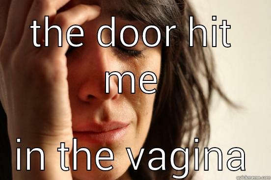 THE DOOR HIT ME IN THE VAGINA First World Problems