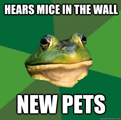 hears mice in the wall new pets - hears mice in the wall new pets  Foul Bachelor Frog