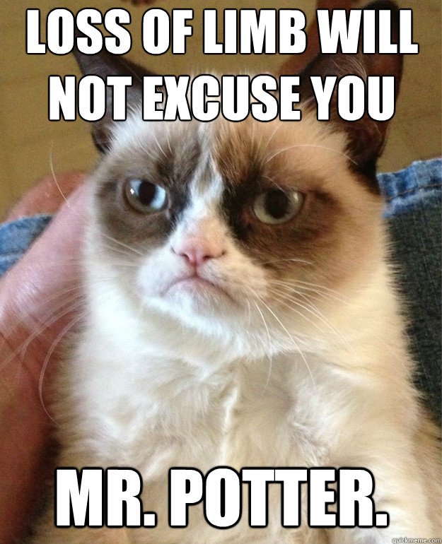 Loss of﻿ limb will not excuse you mr. potter. - Loss of﻿ limb will not excuse you mr. potter.  Grumpy Cat