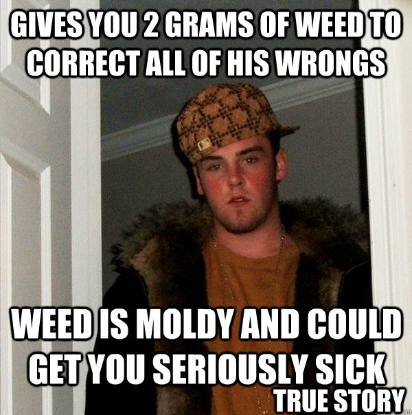 Gives you 2 grams of weed to  correct all of his wrongs weed is moldy and could get you seriously sick True Story - Gives you 2 grams of weed to  correct all of his wrongs weed is moldy and could get you seriously sick True Story  Scumbag Steve