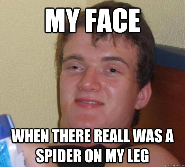 My face When there reall was a spider on my leg  10 Guy