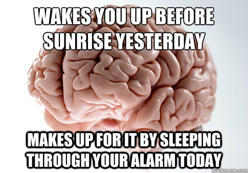 WAKES YOU UP BEFORE SUNRISE YESTERDAY MAKES UP FOR IT BY SLEEPING THROUGH YOUR ALARM TODAY - WAKES YOU UP BEFORE SUNRISE YESTERDAY MAKES UP FOR IT BY SLEEPING THROUGH YOUR ALARM TODAY  Scumbag Brain