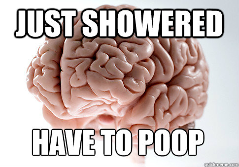 Just showered  have to poop  Scumbag Brain