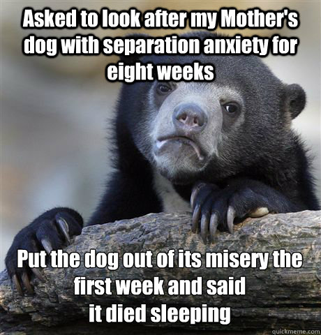 Asked to look after my Mother's dog with separation anxiety for eight weeks Put the dog out of its misery the first week and said
it died sleeping  Confession Bear