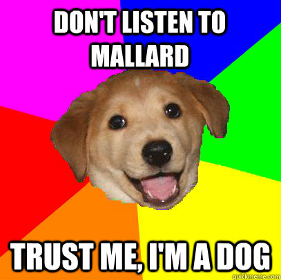 Don't listen to mallard trust me, I'm a dog  Advice Dog