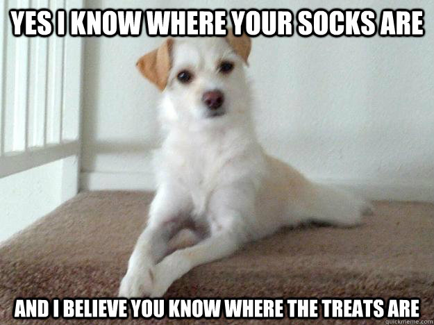 yes i know where your socks are and i believe you know where the treats are - yes i know where your socks are and i believe you know where the treats are  Misc