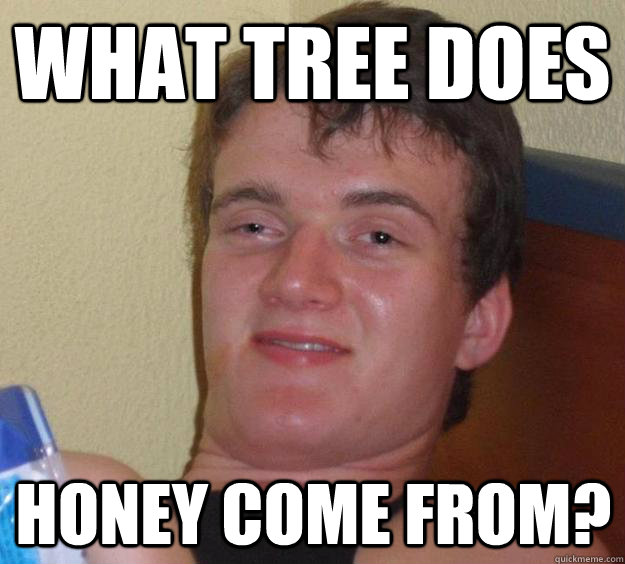 What tree does honey come from? - What tree does honey come from?  10 Guy